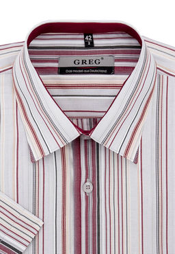 Сорочка мужская короткий рукав GREG Gb361/309/61/Z/1