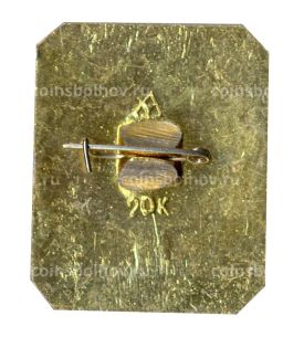 Значок Владимир