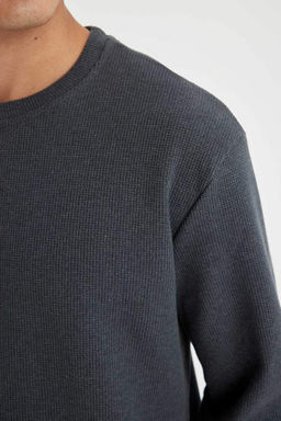 Футболка стандартного кроя с круглым вырезом и длинными рукавами вафельного цвета - Defacto фото 5