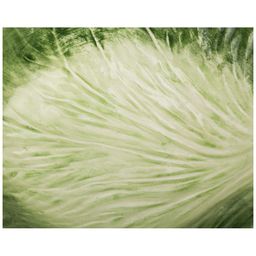 БЛЮДО КАПУСТА 38*24*12 СМ. - Annaluma фото 2