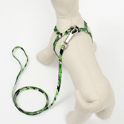 Комплект Камуфляж, капрон, поводок 120 х 1 см, ОШ 16,5-27 см, ОГ 21-35 см, зелёный - Пижон фото 3