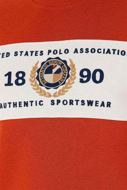 Мужской свитшот с плиткой Неожиданная скидка в корзине - U.s. polo assn фото 7