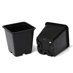 Цена за 9 шт. Горшок для рассады, 1 л, d = 11 см, h = 12 см, чёрный