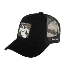 Бейсболка CAPSLAB арт. CL/LOO10/1/CT/SYL Looney Tunes Sylvester (черный)