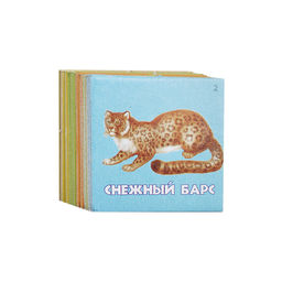 Лото "Живая география"