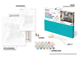 ФРЕЯ PNB/PL-356 Набор для раскрашивания по номерам 50 х 40 см Взгляд сверху