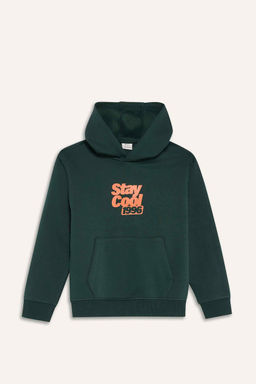 Kap__onlu Bask_l_ __i Yumu_ak T_yl_ Sweatshirt Erkek _ocuk - Defacto фото 6