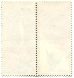 Марка XX  летие первого полета человека в космос  Программа Интеркосмос 1981 год