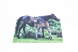 САЛФЕТКА ДЛЯ ОЧКОВ С РИСУНКОМ №76