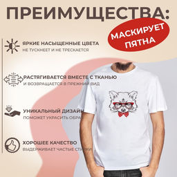 Цена за 5 шт. Термонаклейка «Енот в очках», 16.5×19 см