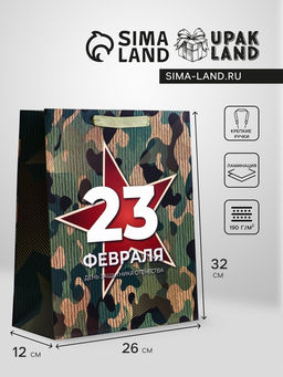 Цена за 2 шт. Пакет подарочный вертикальный Защита, M 26?32?12 см