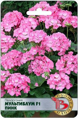 Пеларгония Мультиблум F1 Пинк