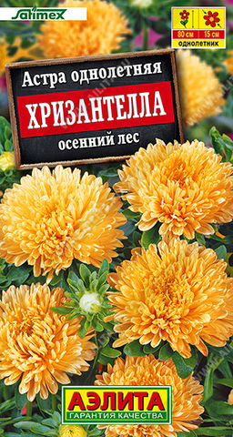 1996A Астра Хризантелла осенний лес 15шт