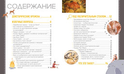 Первобытное искусство. Сокровища древних пещер. Пэ-Рустерхольц Л., Лявакери-Кляйн К. - Махаон фото 2