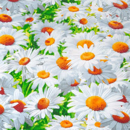 Офелия Евро АРТПОСТЕЛЬ-Бязь-Бязь 220 см.  фото 3