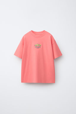 CAMISETA BORDADO / Salm?n
