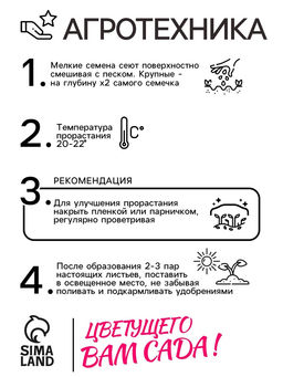 Цена за 2 шт. Семена комнатных цветов Колеус "Блюма Радуга", 130 шт.