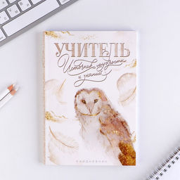 Подарочный набор, ежедневник А5, 80 л., стикеры, ручка «Золотой учитель»