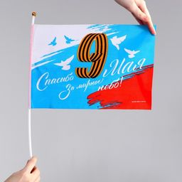 Цена за 10 шт. Флаг Спасибо за мирное небо 30х20см - Страна карнавалия фото 2