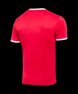 Футболка футбольная JOGEL CAMP Origin, красный/белый