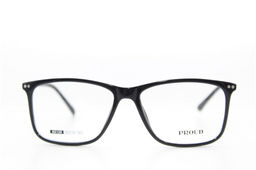Оправа PROUD 65138 56-18-145 C1  фото 2