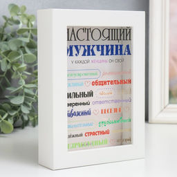 Копилка интерьерная пластик "Настоящий мужчина" 17х12х3,8 см