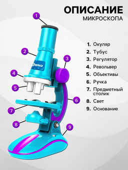Микроскоп «Юный биолог», кратность увеличения 450х, 200х, 100х, с подсветкой