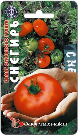 Томат Снегирь