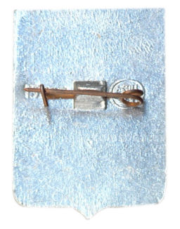 Значок Шацк