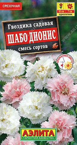 Гвоздика садовая Шабо Дионис, смесь сортов