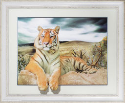 Картина 5D 40х50 802 Тигр /CH752 White/,ф