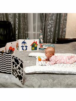 Развиваем зрение с рождения - Робинс фото 4