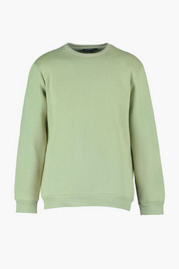 Yesil Bisiklet Yaka Regular/Normal Kesim Mistik Bask?l? Ici Polarl? Sweatshirt TMNAW23SW00303