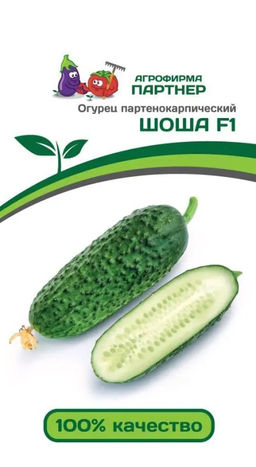 Огурец Шоша F1 5шт. (Партнер)