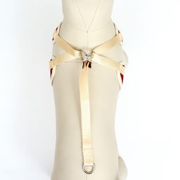 Комплект с мягкой шлейкой Клетки, размер L, поводок 120 х 1,5 см, ОГ 42-76 см, красный - Пижон фото 7