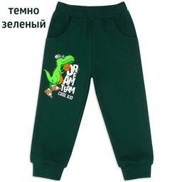Штаны для мальчика Тирекс - Мариша фото 5