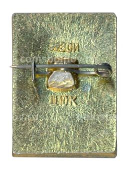 Значок Кострома