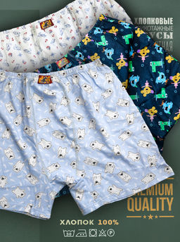 Комплект мужских трусов 3 шт. dff Тр 2002/1,4,5 Размер 46