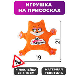 Игрушка для авто Мне можно! Я девочка, 19?4?21 см