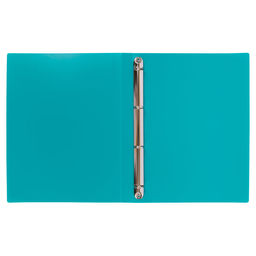 Лео ШколаСад Папка-портфолио на 4 кольцах A4 700 мкм 25 мм песок 1 шт. бирюзовый LKP-032