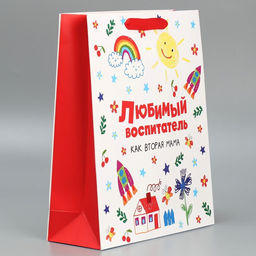 Цена за 2 шт. Пакет подарочный ламинированный, упаковка, «Любимый воспитатель», M 25.5×30×9 см