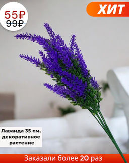 Декоративное растение Buro Лаванда 5 высота 35 см  фото 7