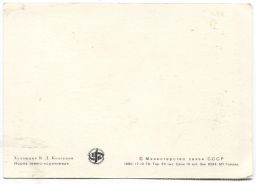 Открытка Норка темно-коричневая Художник В.Д.Колганов