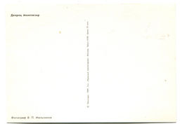 Открытка Петродворец  Дворец Монплезир. Фотограф В.П.Мельников