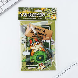 Анкета для мальчиков и ручка 23 февраля: Кот