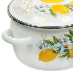 ЭМ_Кастрюля 2,0 л сфер. ЛИМОНЫ н/о, арт. 3МС161Р