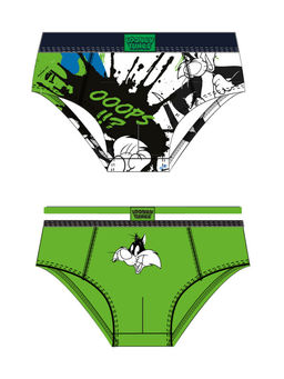 PlayToday / Трусы для мальчика - брифы, 2 шт в комплекте