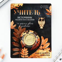 Набор монета и значок Учитель, 7.5 х 10 см - Семейные традиции фото 2