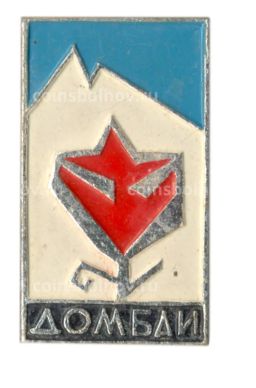 Значок Домбаи
