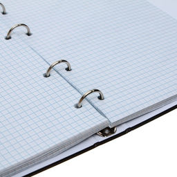 Тетрадь на кольцах, в клетку, 80 листов Аниме (ч/б), обложка 7БЦ, без вырубки под кольца, блок офсет - Calligrata фото 5